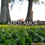 Adiós Amor