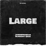 Large (Explicit)