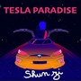 Tesla Paradise (Explicit)