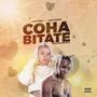 Cohabitate (feat. LazzyBwoy)