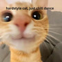 hardstyle cat, just chill dance