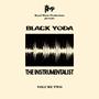 THE INSTRUMENTALIST Vol Two