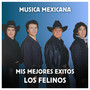 Música Mexicana - Mis Mejores Exitos