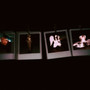 polaroid