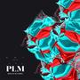 PLM (feat. ADI) [Explicit]