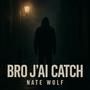 Bro j'ai catch (Explicit)
