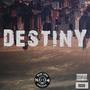 Destiny (feat. Kastro Zaytana) [Explicit]