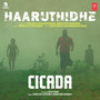 Haaruthidhe (From 