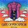 Gate of Perception