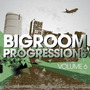 Bigroom Progressions Vol 6