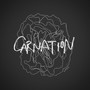 Carnation