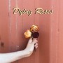 Dying Roses