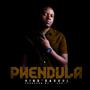 Phendula (feat. Xak_T)