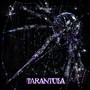TARANTULA