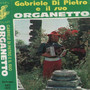 Gabriele Di Pietro e il suo organetto