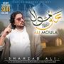 Ali Moula A Heart Touching Sufi Kalam