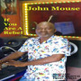 If You Are A Rebel (Trying Man Riddim)