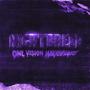 NIGHTBREED (Slowed + Reverb)