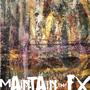 MAINTAIN THE FX (Explicit)