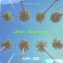 Joe Summer (Explicit)