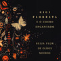 Beija-Flor de Olhos Negros