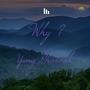 Why ? (Explicit)