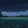 Fields at Night