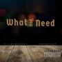 What You Need (feat. Fat Keezy) [Explicit]