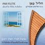 14 Pan Flute Melodies of Favorite Israeli Songs