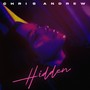 HIDDEN (Explicit)