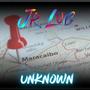 Unknown (feat. Enza Rigano)