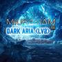 Dark Aria Lv2 (Solo Leveling)