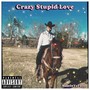 Crazy, Stupid, Love (Explicit)