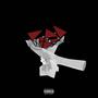 Red Flags (feat. LTE Capone) [Explicit]