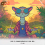 Boy/Wherever You Go