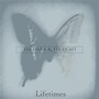 Lifetimes (Explicit)