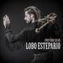 Lobo Estepario