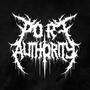 Port Authority (Explicit)