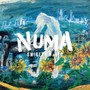 NUMA