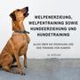 Welpenerzieung, Welpentraining sowie Hundeerziehung und Hundetraining (Alles über die Erziehung und das Training von Hunden)