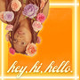 Hey, Hi, Hello.