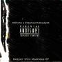 Deeper Into Madness EP (Explicit)