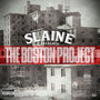 The Boston Project (Explicit)