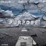 Purpose (feat. Ryan Deshon & Tru400) [Explicit]