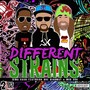 Different Strains (feat. Dre Highway & Mod Sun)