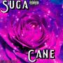 Suga Cane (Explicit)