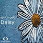 Daisy - Single
