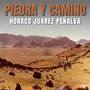 Piedra y Camino