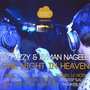 One Night in Heaven, Vol. 8 - Mixed & Compiled by DJ Fuzzy & Ayman Nageeb