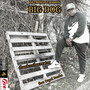 Big Dog (Explicit)